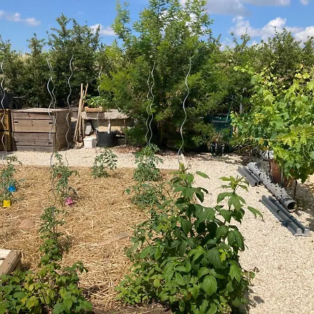 La Maison Aux Palmiers *