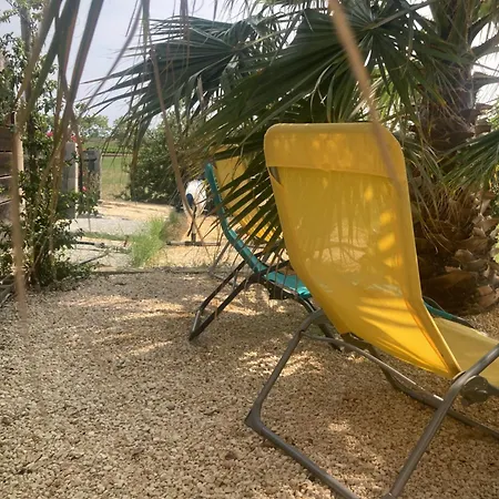 La Maison Aux Palmiers 빌라 Arpaillargues-et-Aureillac