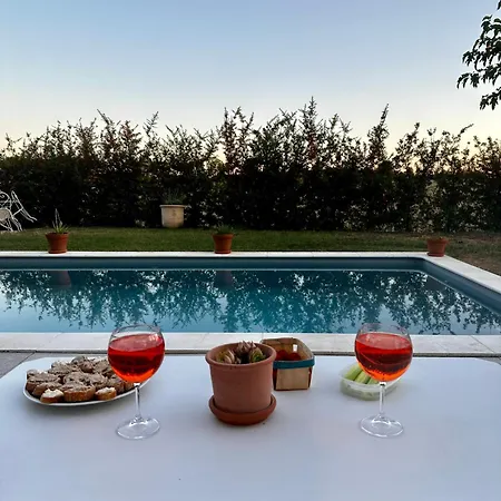 La Maison Aux Palmiers 빌라 *